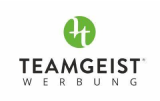 teamgeist-logo 1